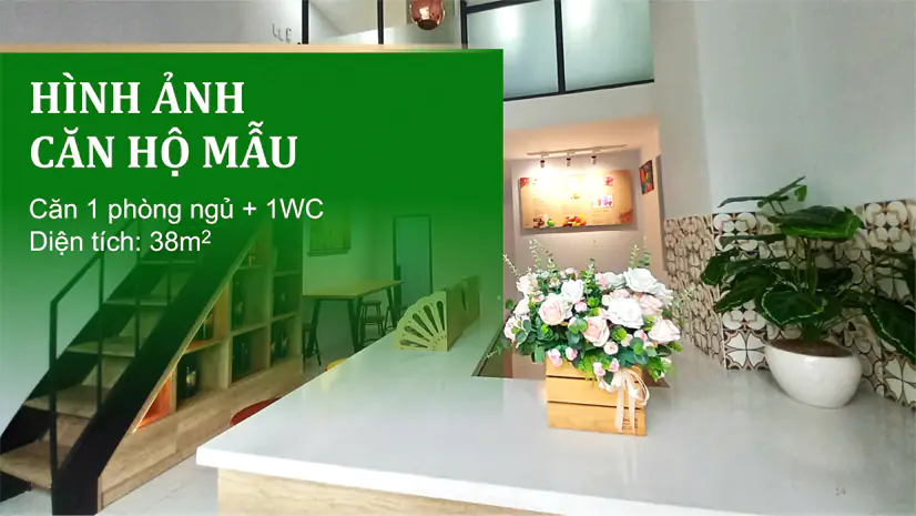 mau1.jpg mau1.jpg